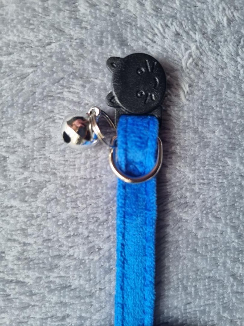 Collier pour Chat en Velours Bleu - Miniature 5