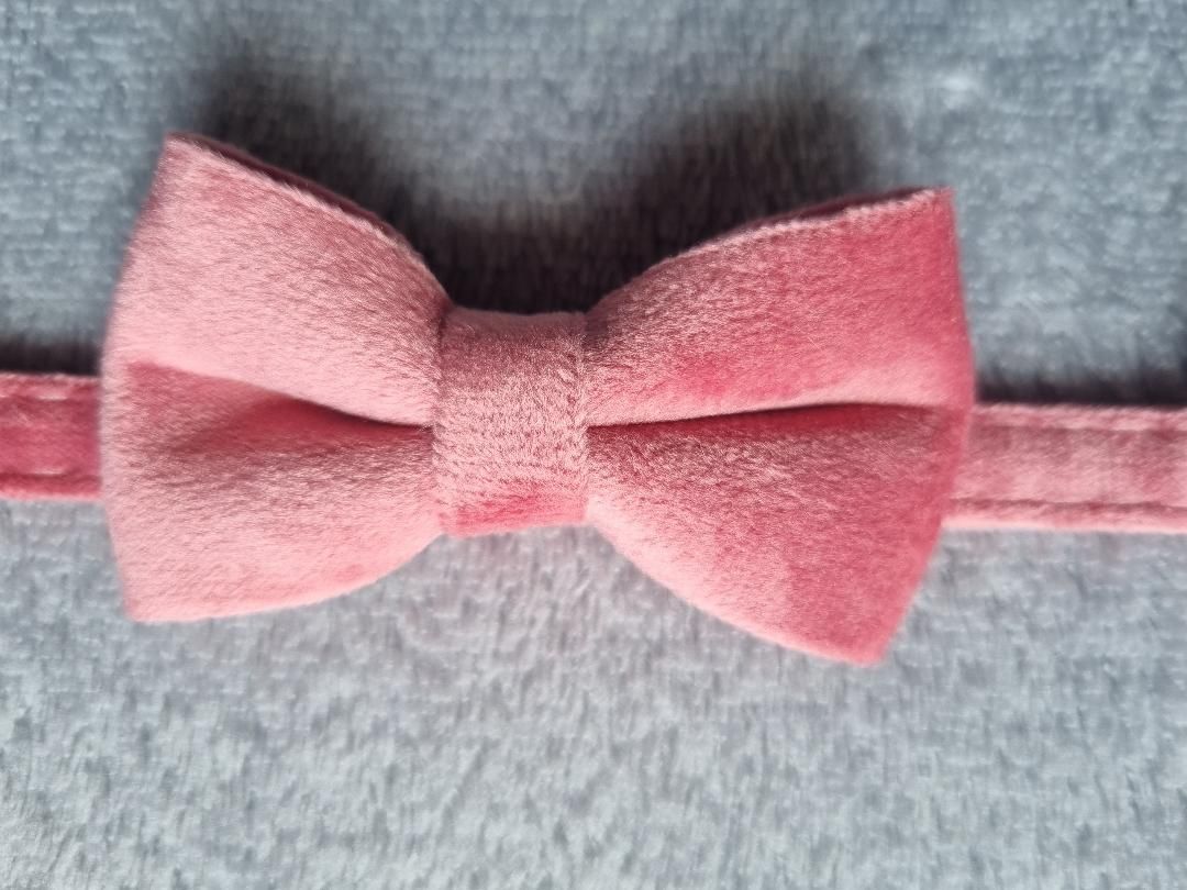 Collier pour Chat en Velours Rose - Miniature 5