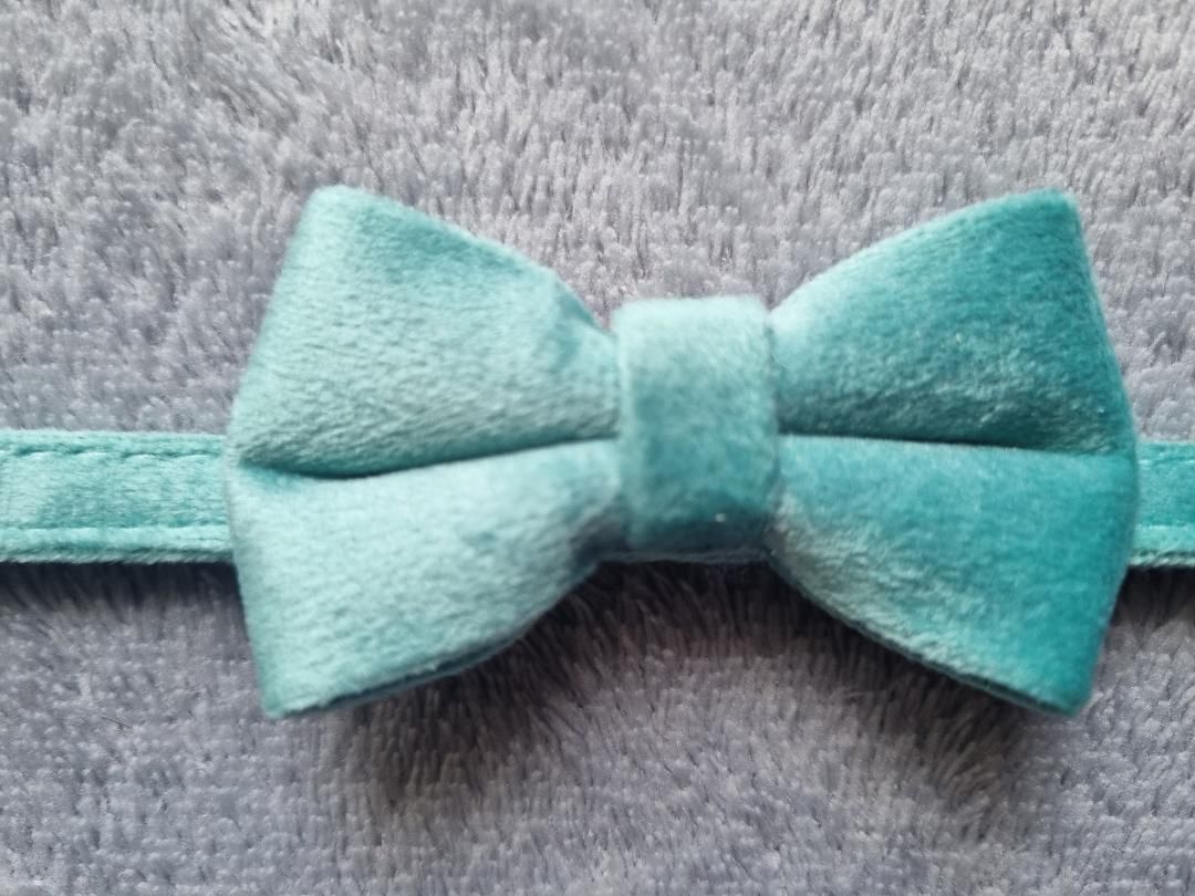 Collier pour Chat en Velours Vert - Miniature 5