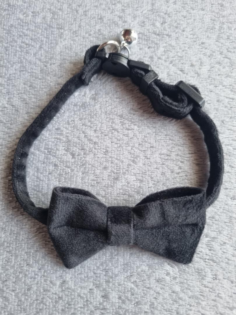 Collier pour Chat en Velours Noir - Miniature 2