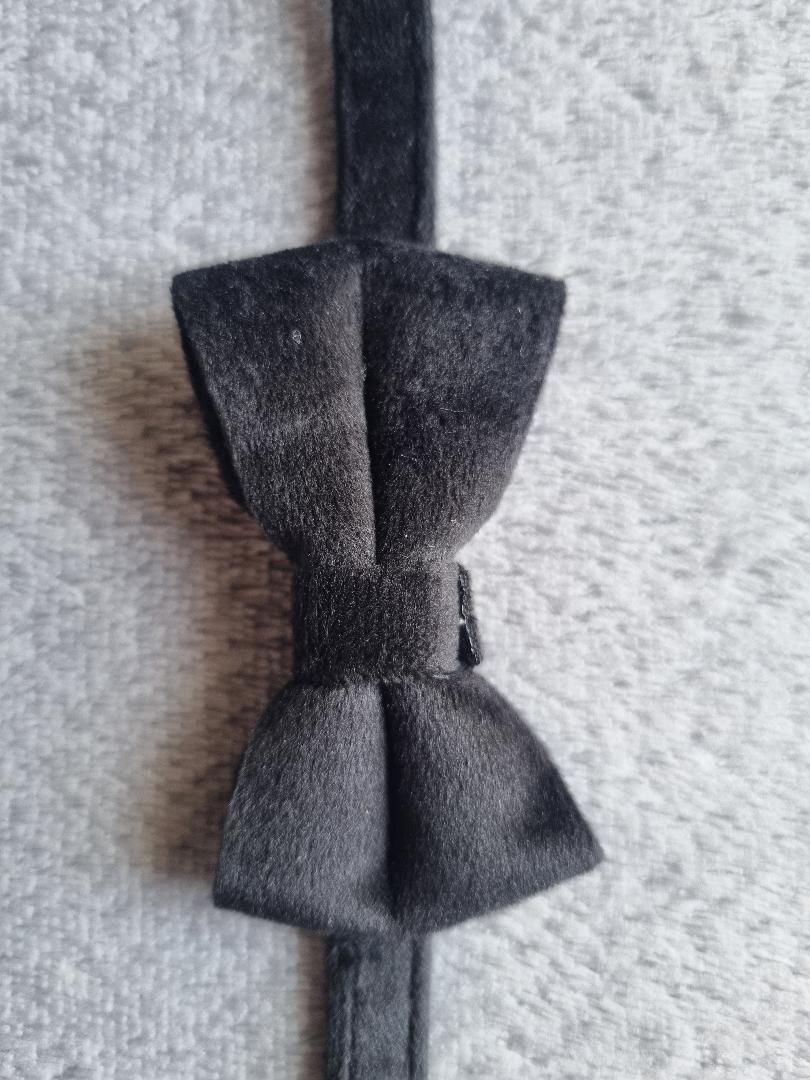 Collier pour Chat en Velours Noir - Miniature 4