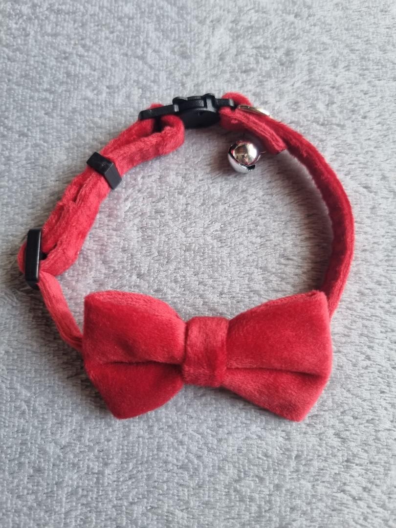 Collier pour Chat en Velours Rouge - Miniature 2