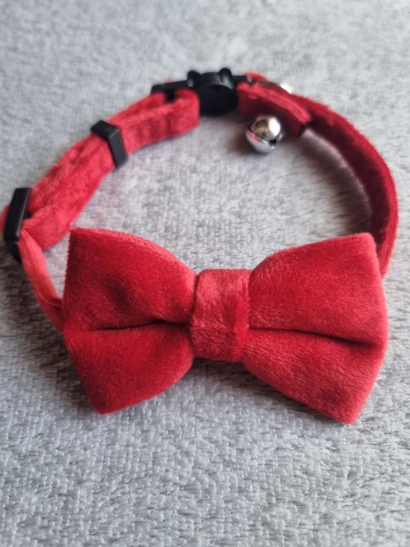 Collier pour Chat en Velours Rouge - Miniature 3