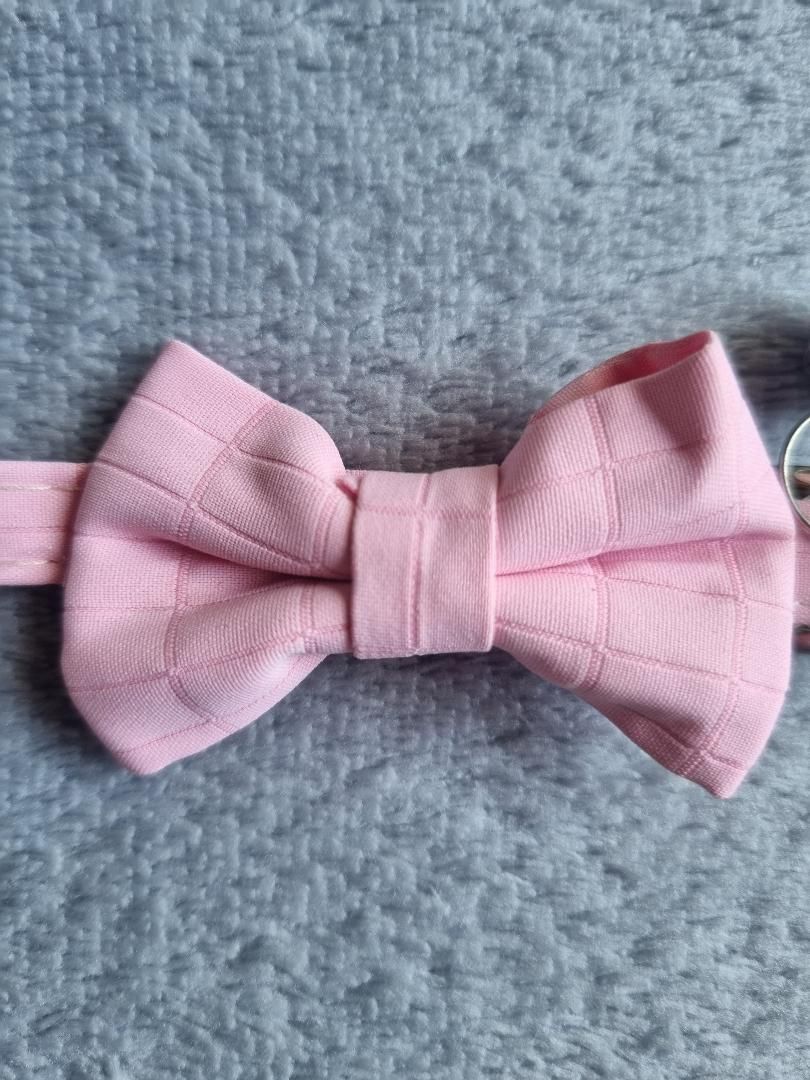 Collier pour Chat Rose