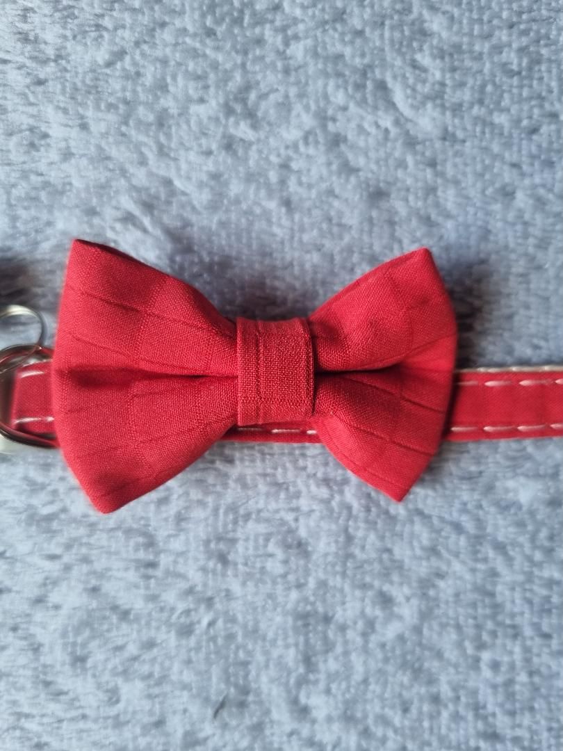 Collier pour Chat Rouge