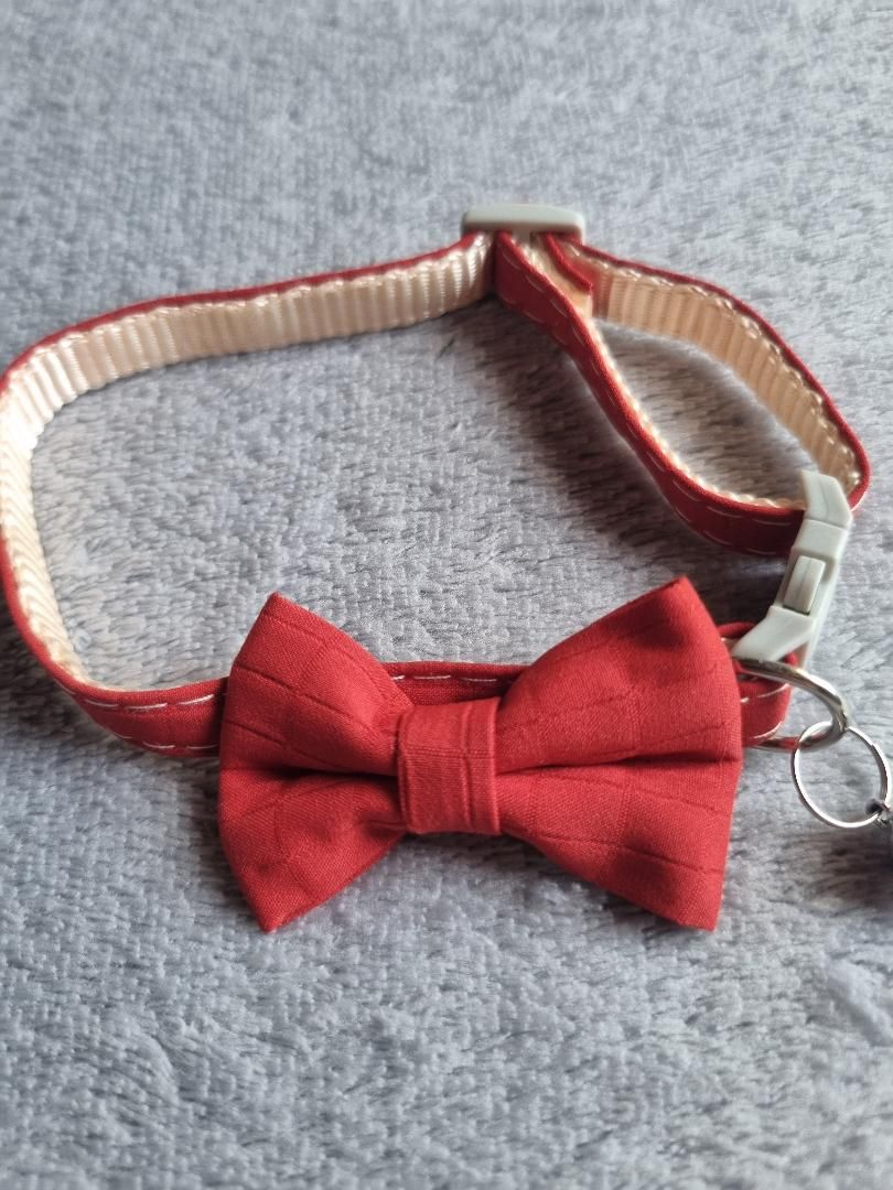 Collier pour Chat Rouge - Miniature 3