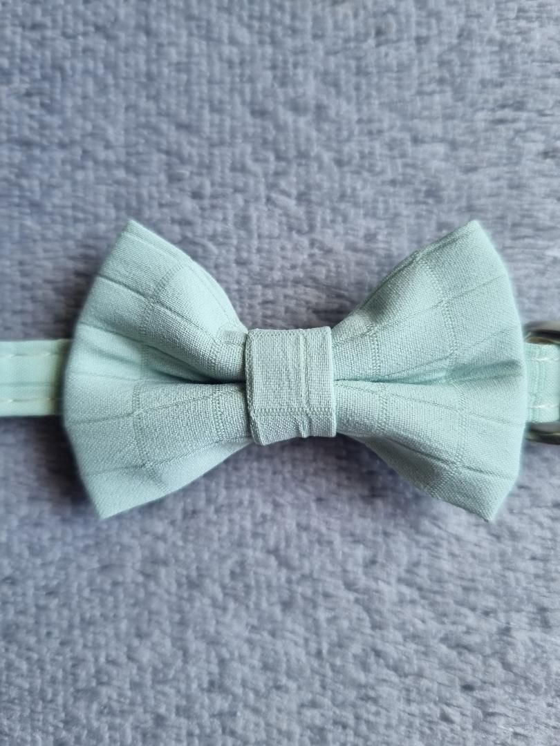 Collier pour Chat Vert