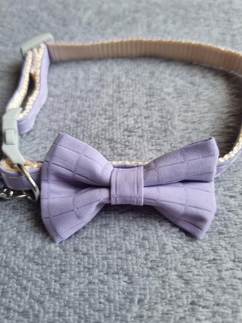 Collier pour Chat Lilas - Miniature 3