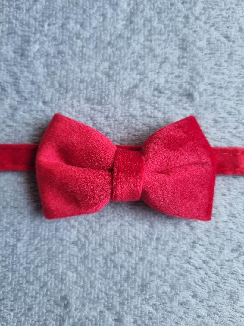 Colliers en Velours pour Chat
