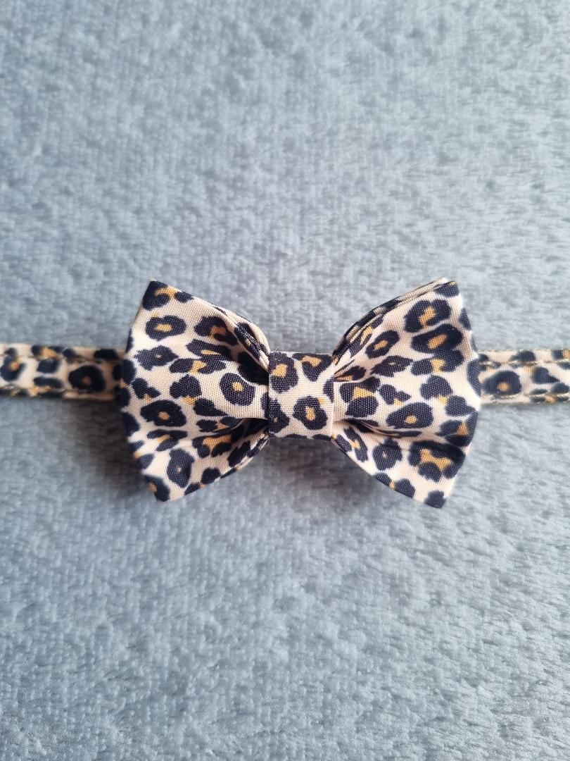 Colliers à Motifs pour Chat