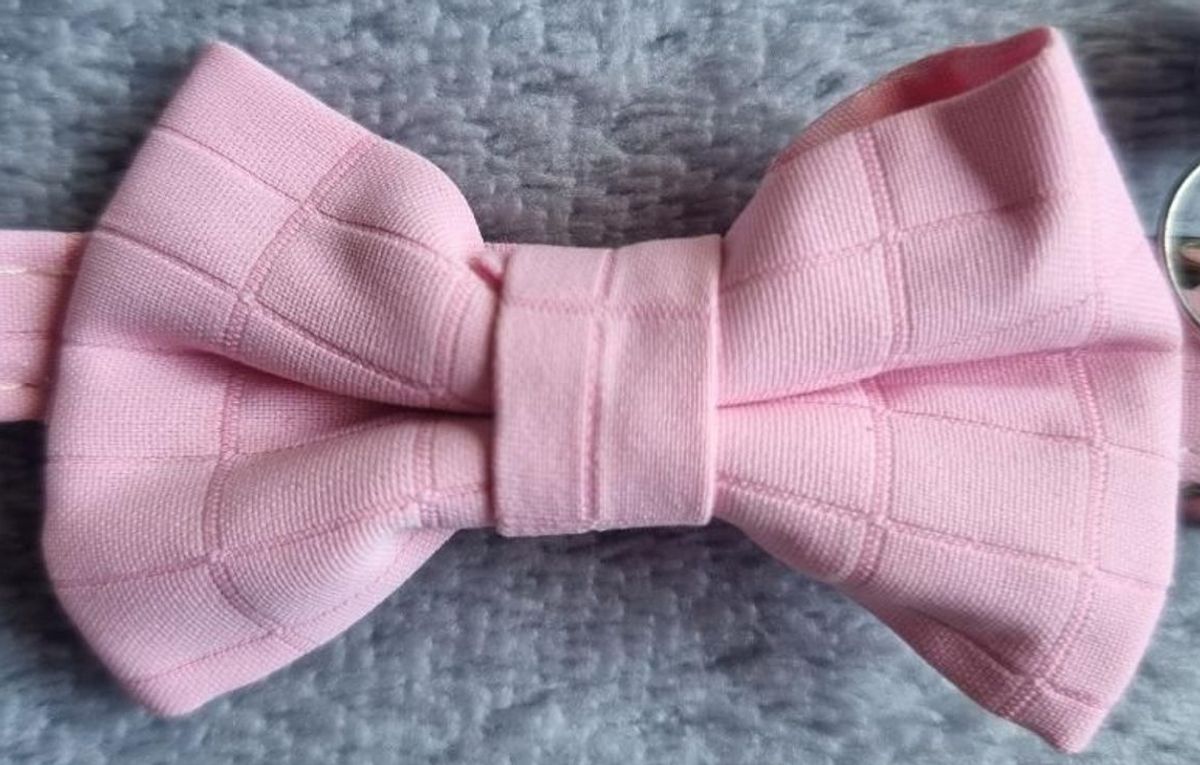 Colliers Unis pour Chat