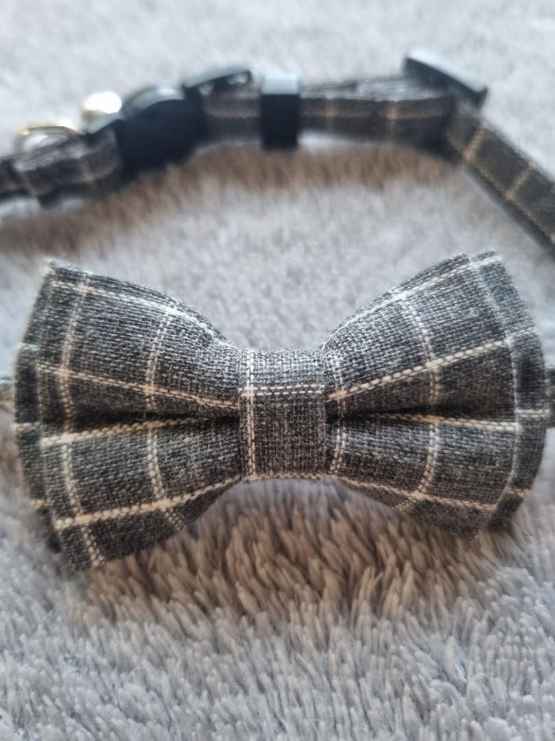 Collier pour Chat à carreaux Gris - Miniature 3