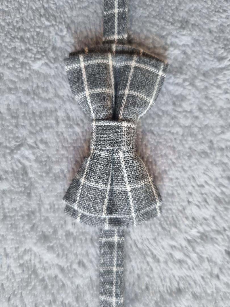 Collier pour Chat à carreaux Gris - Miniature 5