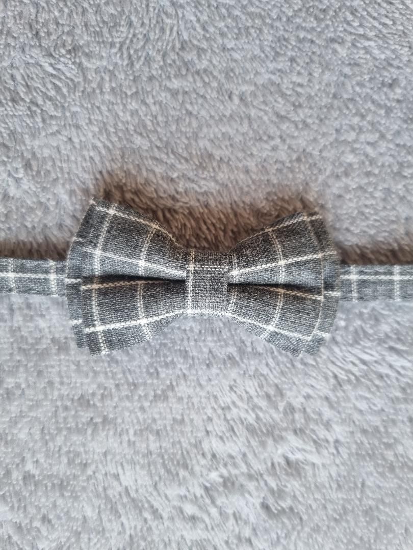 Collier pour Chat à carreaux Gris