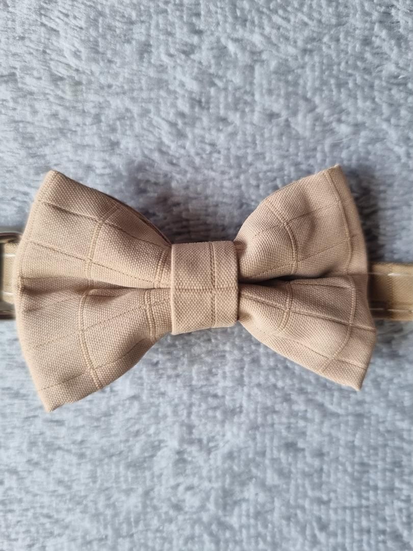 Collier pour Chat Beige