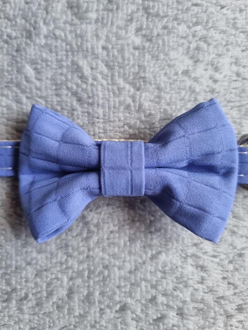Collier pour Chat Bleu