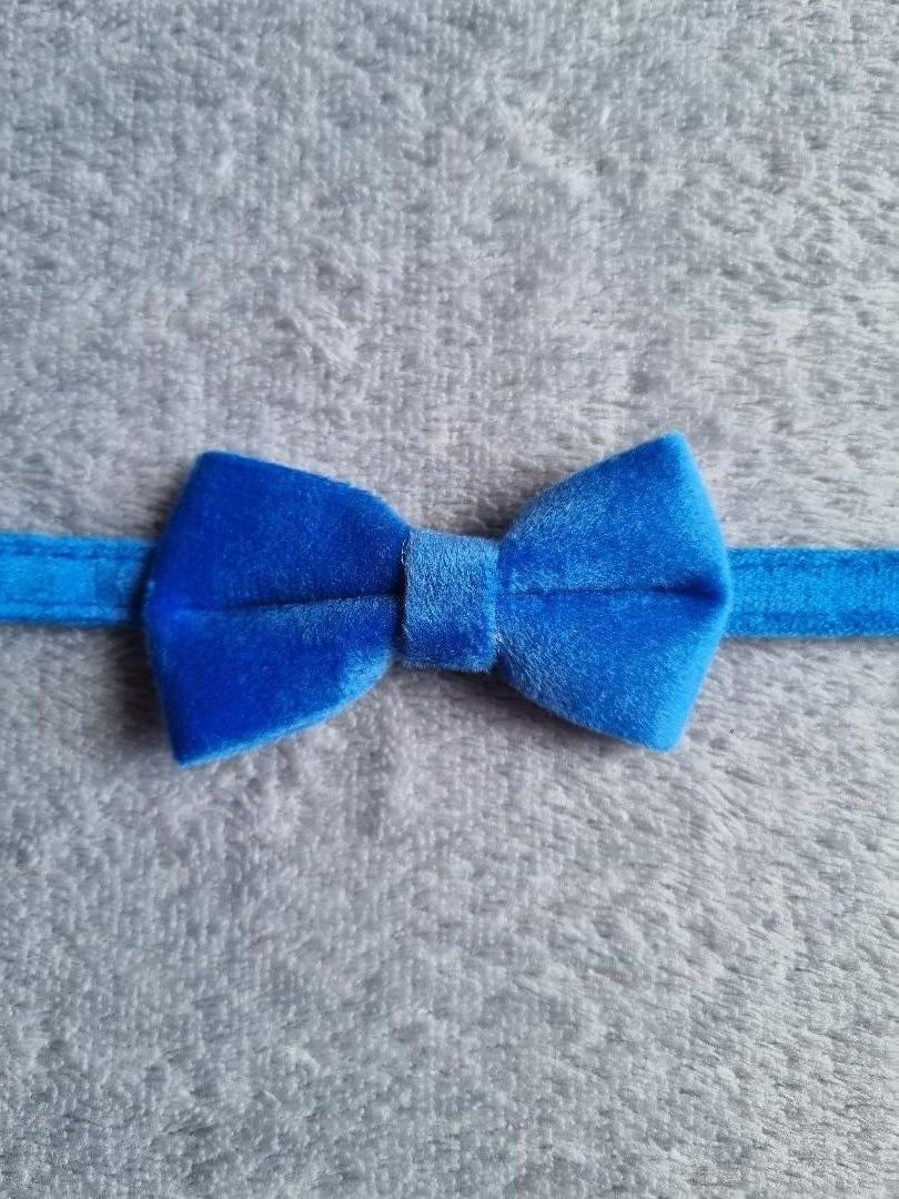 Collier pour Chat en Velours Bleu