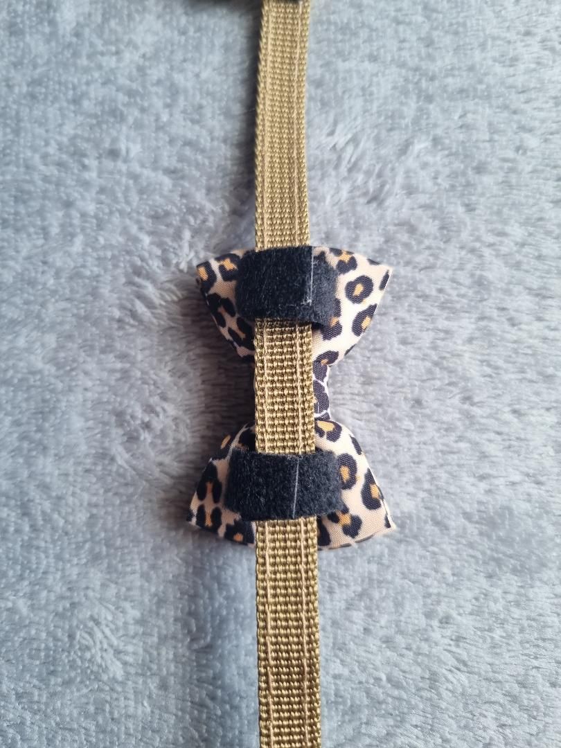 Collier pour Chat à motif Léopard - Miniature 9