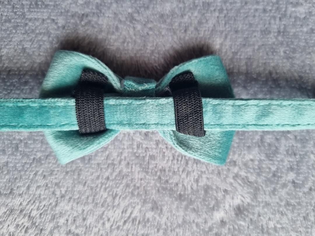Collier pour Chat en Velours Vert - Miniature 9