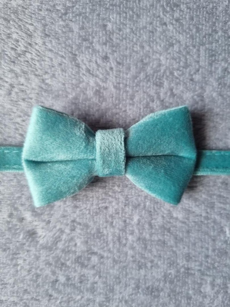 Collier pour Chat en Velours Vert