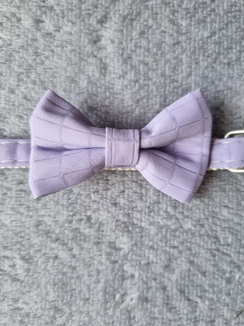 Collier pour Chat Lilas
