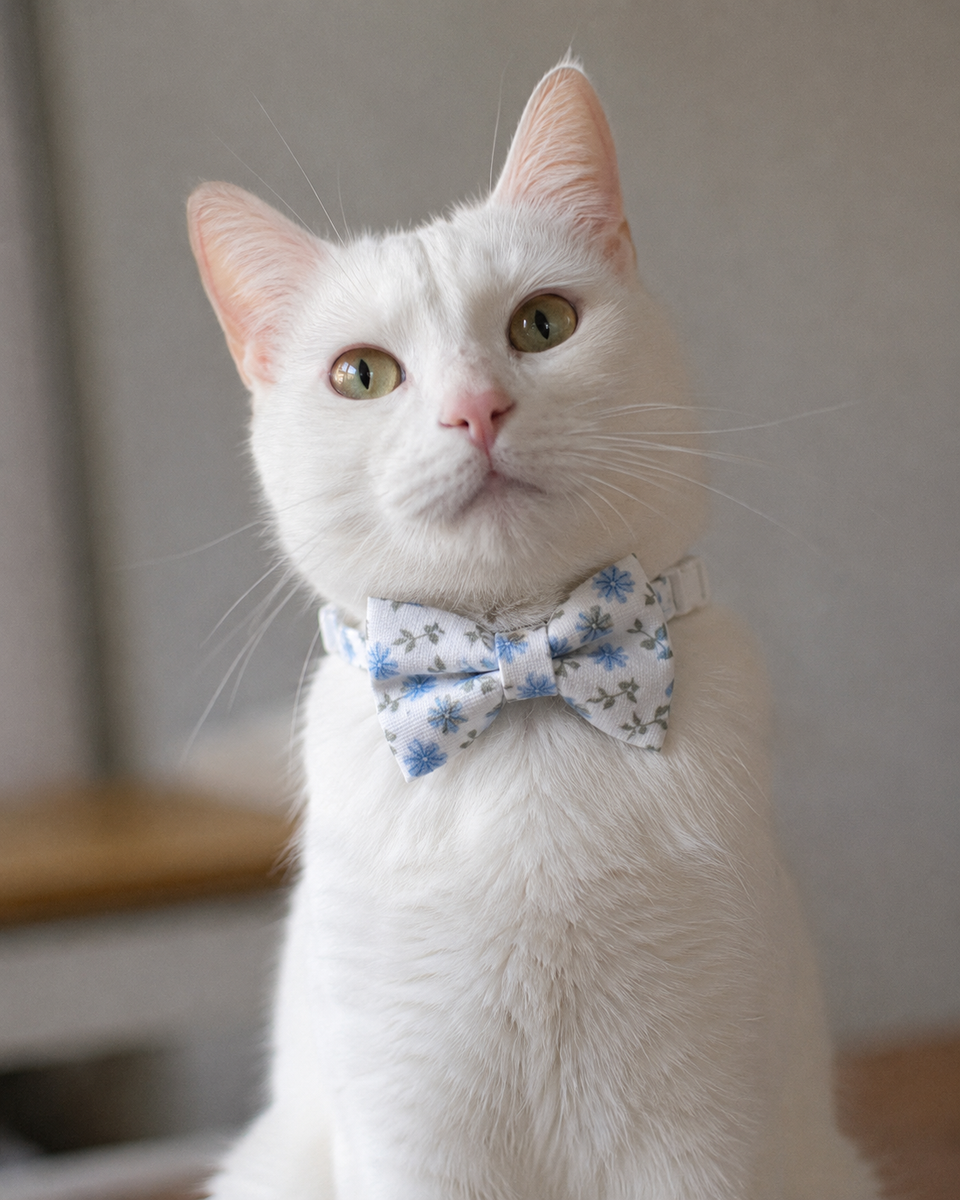 Collier avec nœud papillon pour Chat à fleurs bleues - Miniature 8