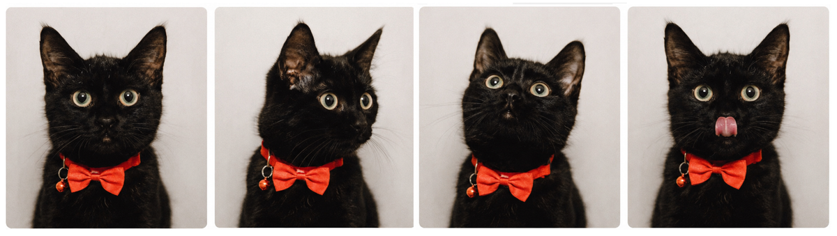 🎀 Colliers de Velours – Colliers pour chat avec nœud papillon