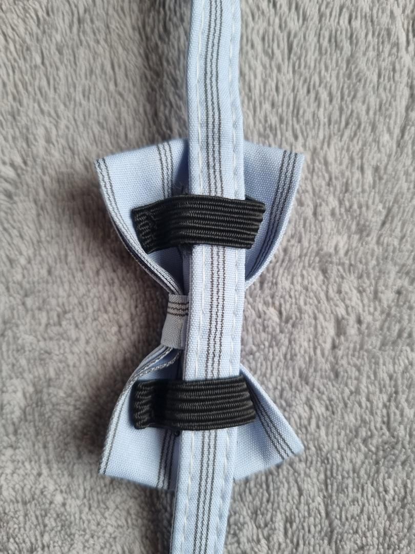Collier avec nœud papillon pour Chat rayé Bleu - Miniature 2