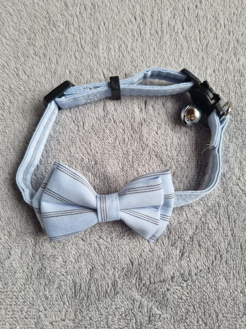 Collier avec nœud papillon pour Chat rayé Bleu - Miniature 3