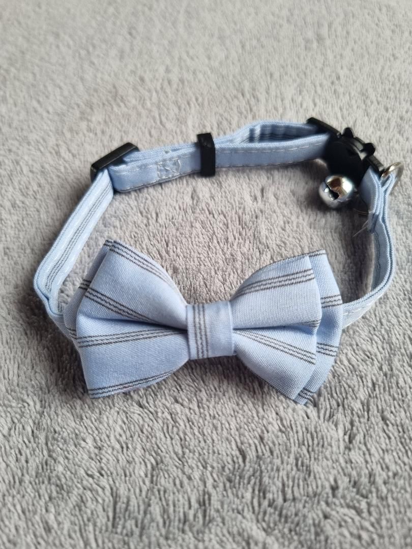 Collier avec nœud papillon pour Chat rayé Bleu - Miniature 4