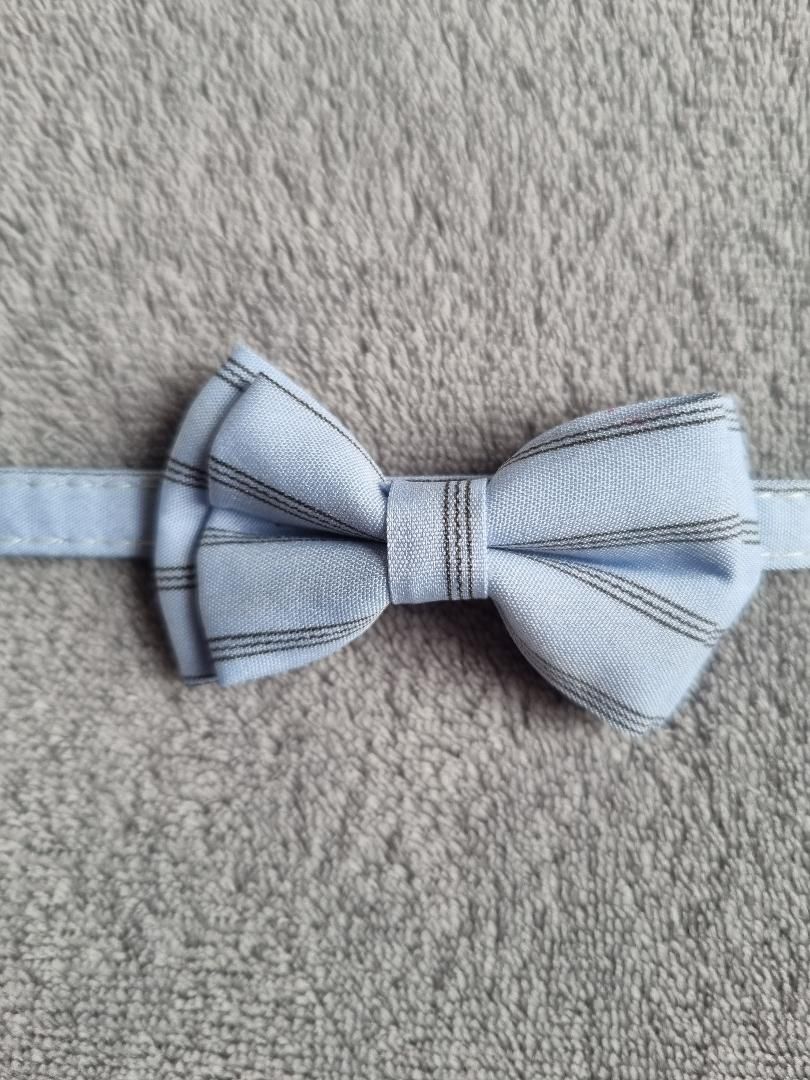 Collier avec nœud papillon pour Chat rayé Bleu