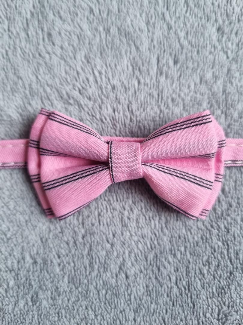 Collier avec nœud papillon pour Chat rayé Rose