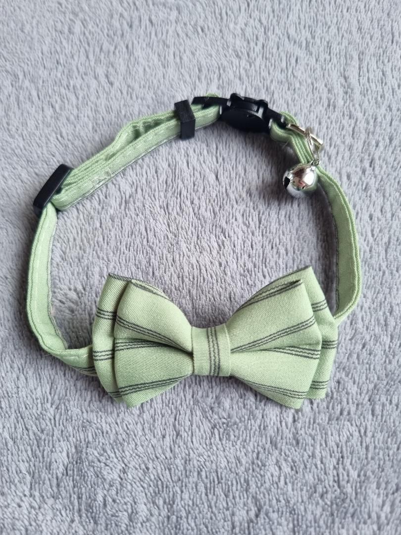 Collier avec nœud papillon pour Chat rayé Vert - Miniature 2