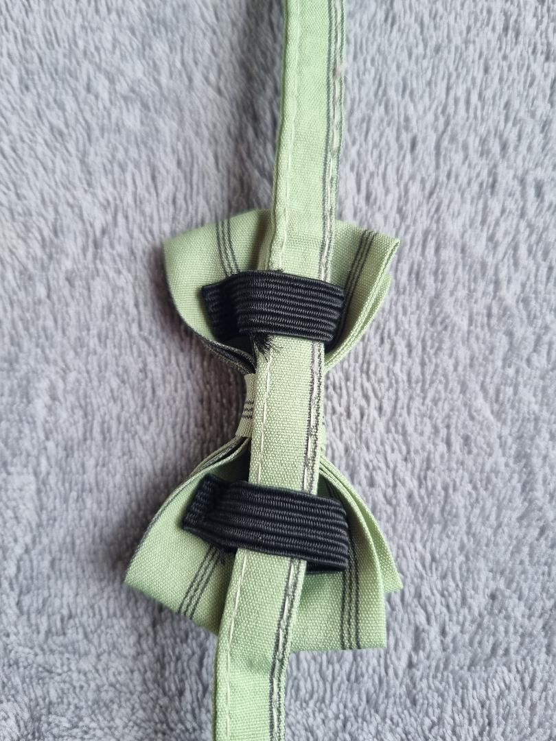 Collier avec nœud papillon pour Chat rayé Vert - Miniature 3