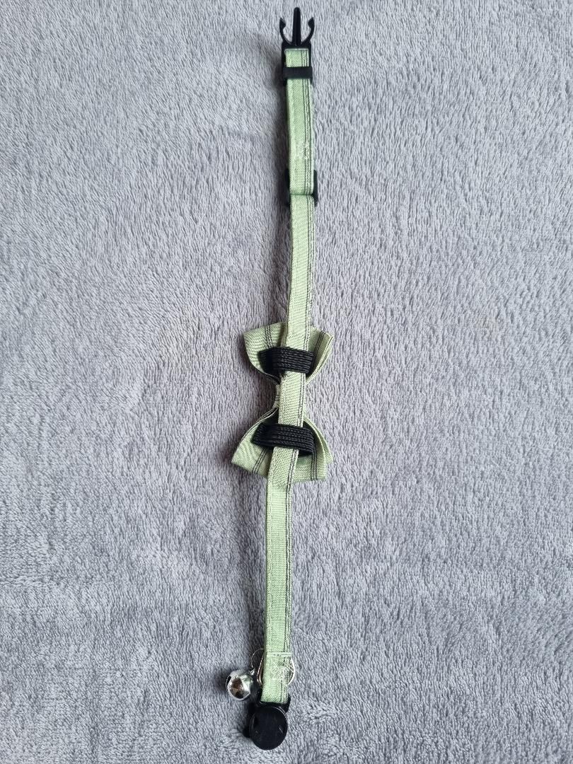 Collier avec nœud papillon pour Chat rayé Vert - Miniature 4