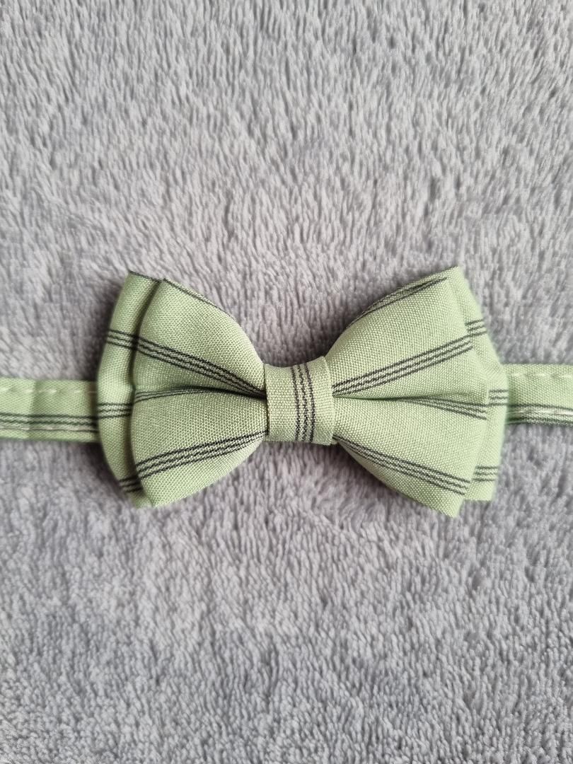 Collier avec nœud papillon pour Chat rayé Vert